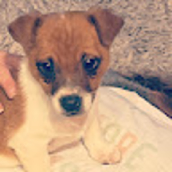 Meet your Posher, Jayson - Picture 1 of 1